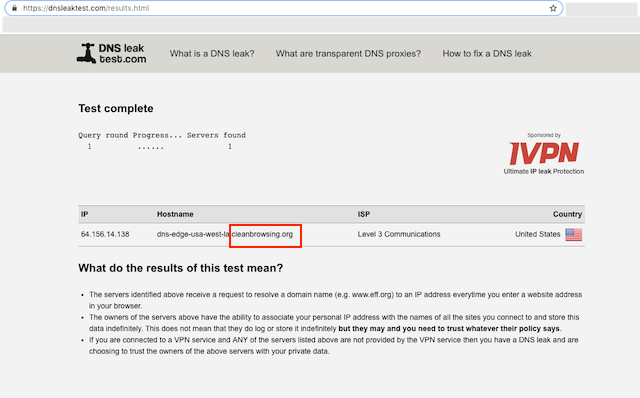 DNS Leak Test Results Showing CleanBrowsing Configured